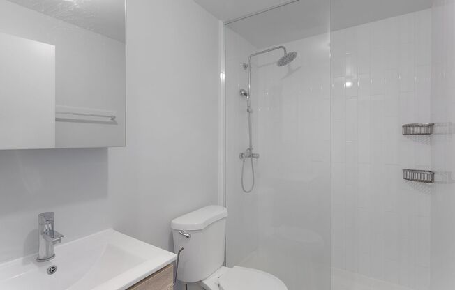 Studio, 1 bath, 204 sqft, $1,255, Unit 411