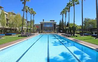 a large swimming pool with palm trees around it