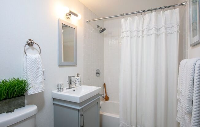 Studio, 1 bath, 396 sqft, $1,045, Unit 302