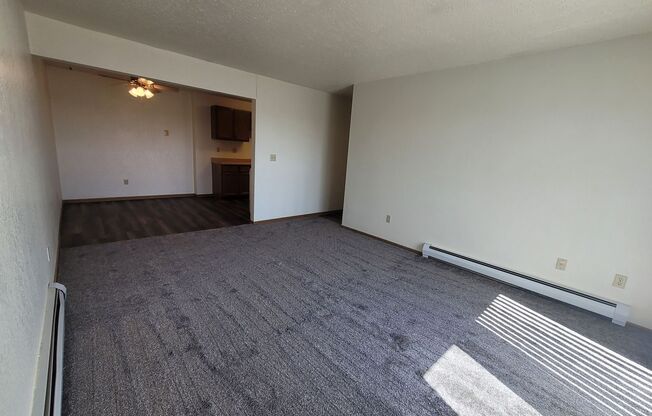 2 beds, 1 bath, 1,120 sqft, $850, Unit 822