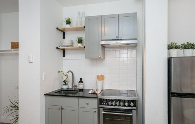 Studio, 1 bath, 305 sqft, $1,195, Unit 110