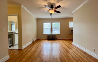 Studio, 1 bath, 380 sqft, $975, Unit 4245-206