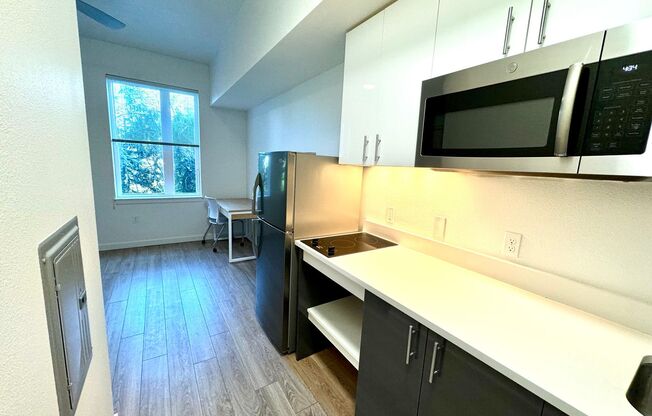 Studio, 1 bath, 305 sqft, $1,200, Unit 112