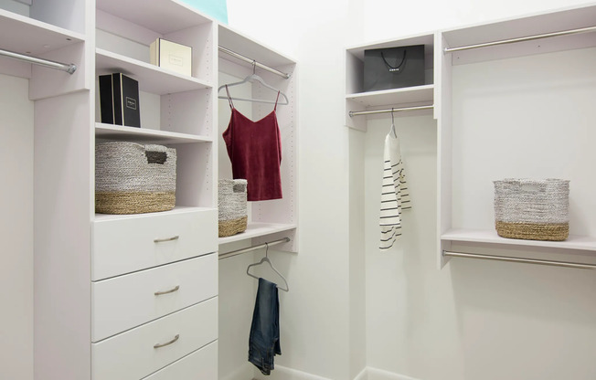 A large walk-in closet with modular storage, including full-length and half-length spaces with closet rods, four dresser drawers, and shelves.