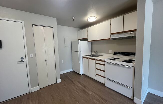 Studio, 1 bath, 480 sqft, $1,450, Unit 228