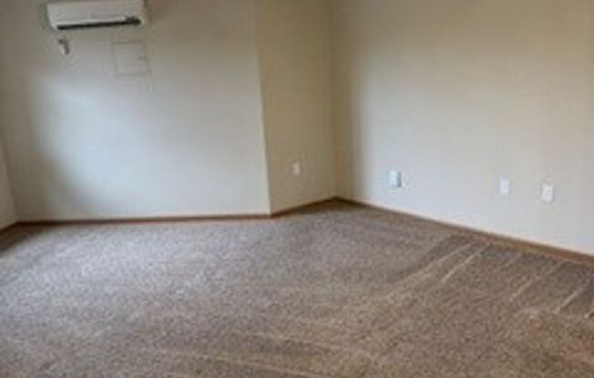 Studio, 1 bath, 524 sqft, $1,165, Unit 5001-313