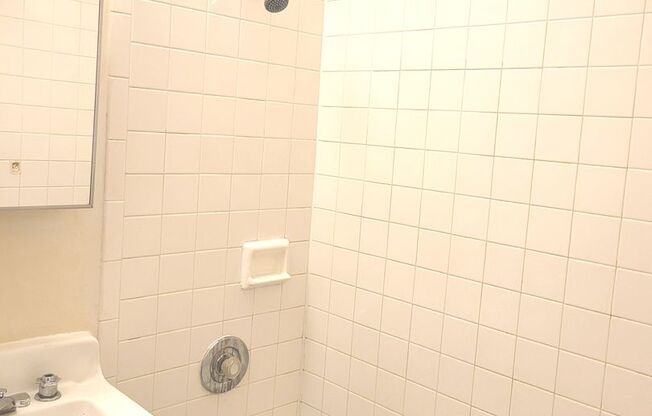 Studio, 1 bath, $775, Unit 305