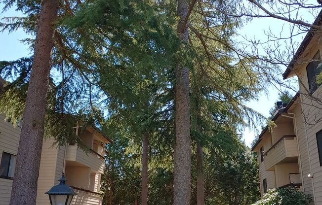 2 beds, 1 bath, 830 sqft, $2,000, Unit F301