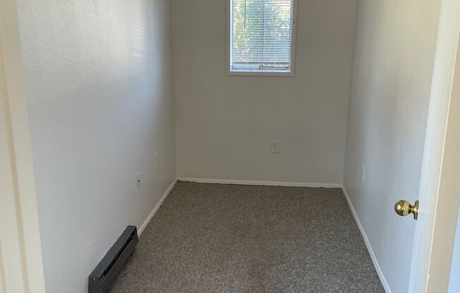 1 bed, 1 bath, 955 sqft, $1,495