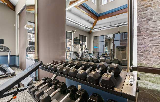 a weights rack in a gym with weights on it