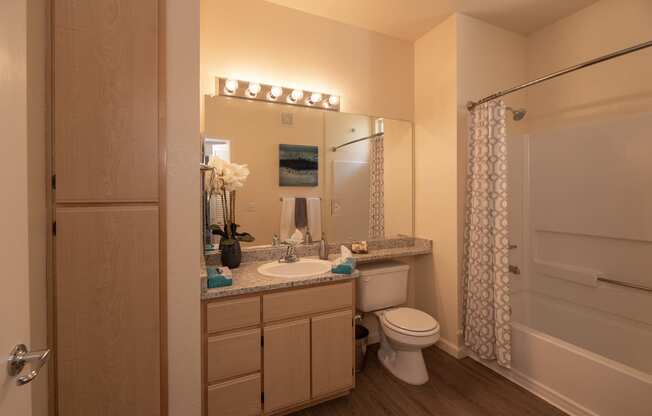 Stoneridge model 1 hall bathroom