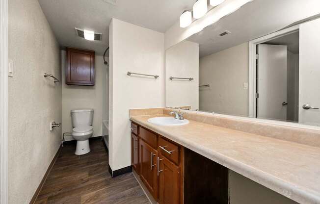 Large Bathroom Vanity
