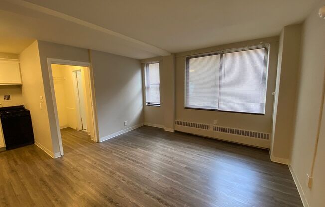 Studio, 1 bath, 320 sqft, $800, Unit # 313