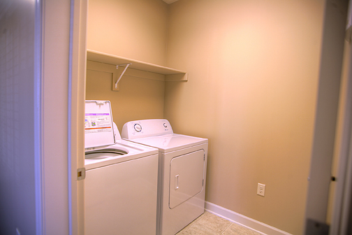 Gallery Photo 16