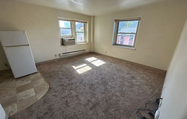 1 bed, 1 bath, $905, Unit 404