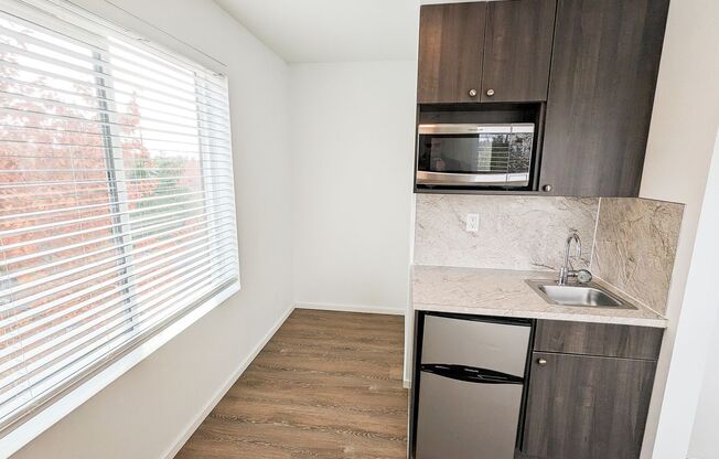 Studio, 1 bath, 186 sqft, $1,375, Unit 501