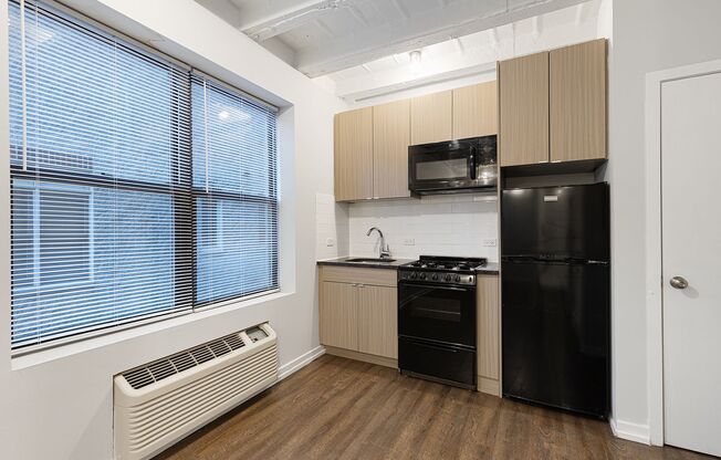 Studio, 1 bath, 172 sqft, $1,375, Unit 507