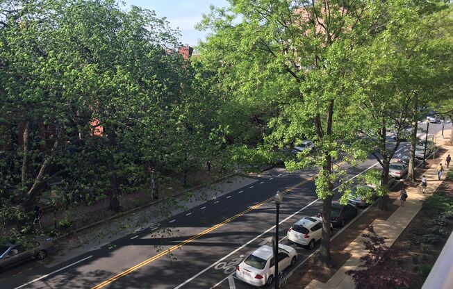 Studio, 1 bath, 460 sqft, $2,800, Unit 0524