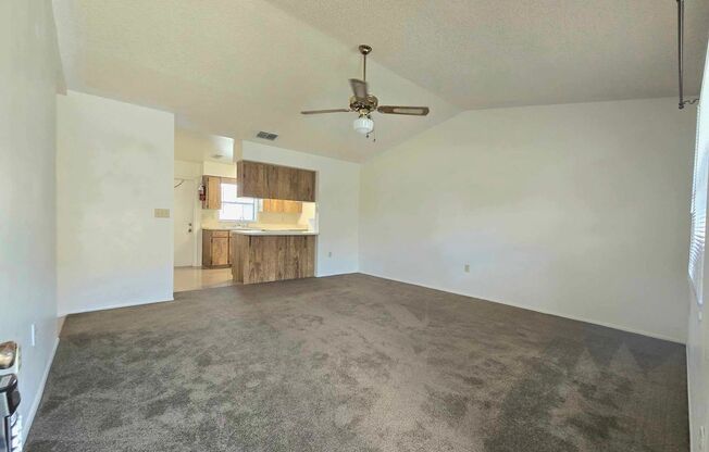 Jane Wood Rev Trust - Spoonbill