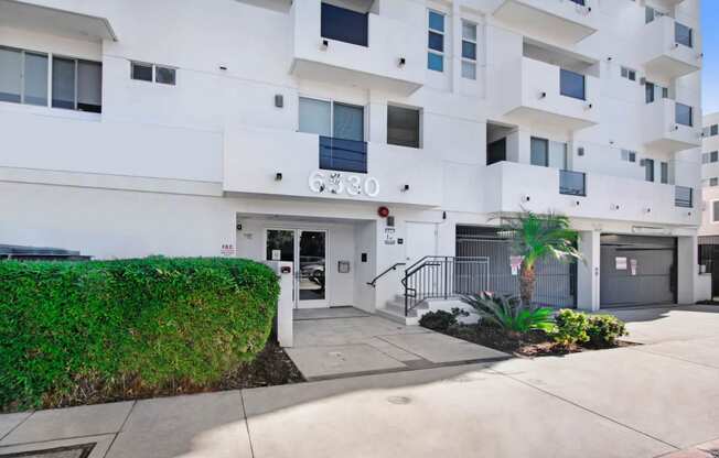 a white building with a sidewalk and a palm tree in front of it