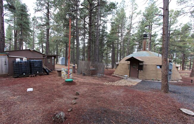 $300 OFF First Month | Unique Dome Studio Surrounded by Ponderosa Pines – Parks, AZ