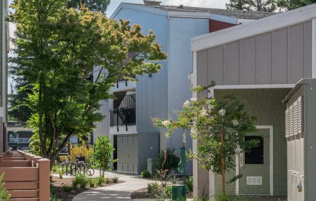 a walkway between two buildings with trees and plants