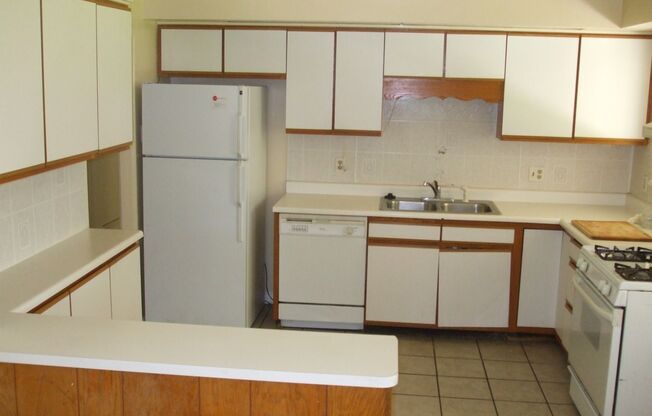 Spacious 4 bedroom 2 bath house with large backyard!