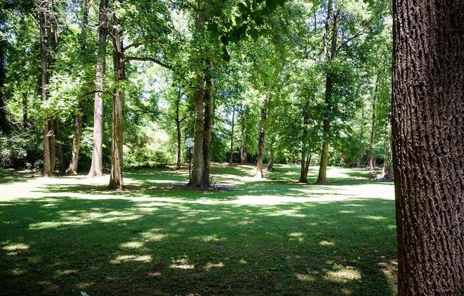 2 beds, 1 bath, 850 sqft, $1,100