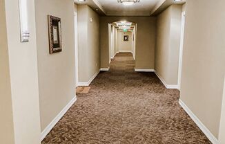 Amazing 2 Bedroom across from DU