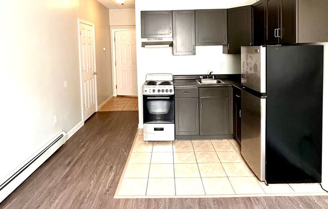 Studio, 1 bath, 255 sqft, $1,450, Unit 315