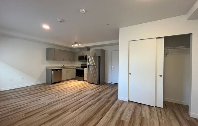 Studio, 1 bath, 480 sqft, $1,725, Unit 134