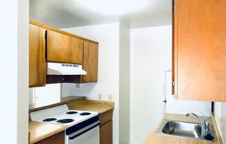 1 bed, 1 bath, $925