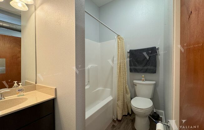 Studio, 1 bath, $1,000, Unit 205G