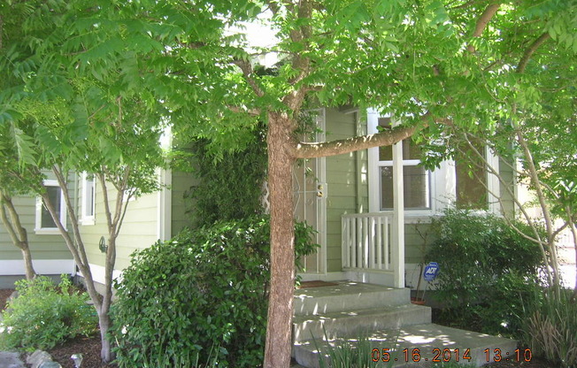 3 Bedroom 2.5 Bath Santa Rosa House for Rent