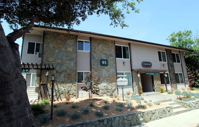 Create A Great Life at Camellia, Holliston