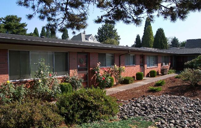 Dolphin Court