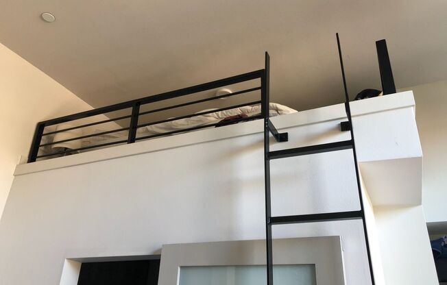 Studio, 1 bath, 241 sqft, $1,370, Unit 407