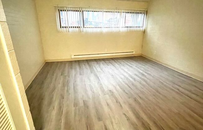 Studio, 1 bath, 302 sqft, $1,125, Unit 111
