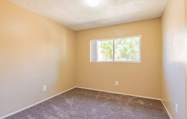 an empty room with carpet and a window