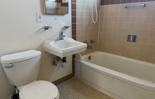 1 bed, 1 bath, 698 sqft, $1,250, Unit 433