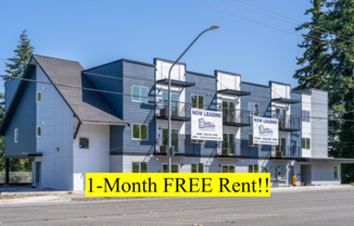 Brand New Apartments for Rent | 1, 2 & 3 Bedrooms Available | Parking + Patios - ONE MONTH FREE!