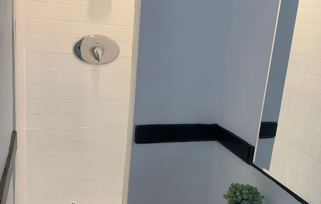 Studio, 1 bath, 350 sqft, $1,395, Unit 204