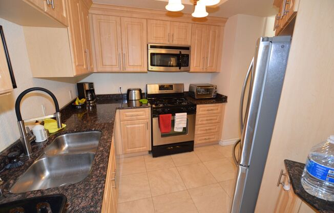 Fully Furnished, 1 Bd / 1 Ba Luxury Condo