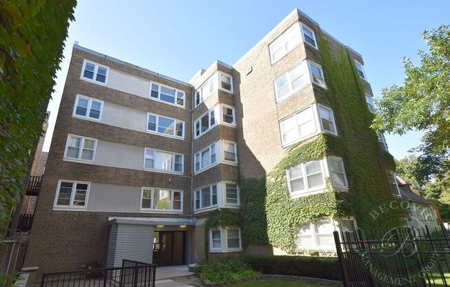 1 bed, 1 bath, 485 sqft, $1,750, Unit 206