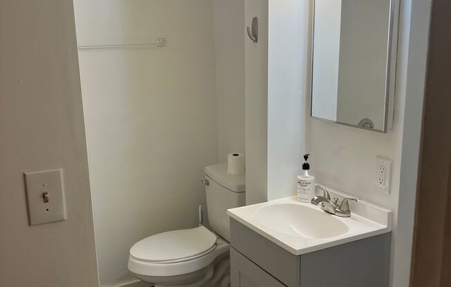 Studio, 1 bath, 182 sqft, $1,000, Unit 003