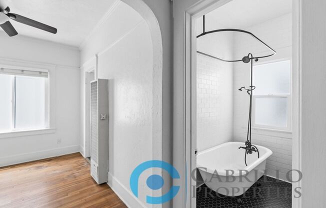 Studio, 1 bath, 341 sqft, $1,695, Unit 304