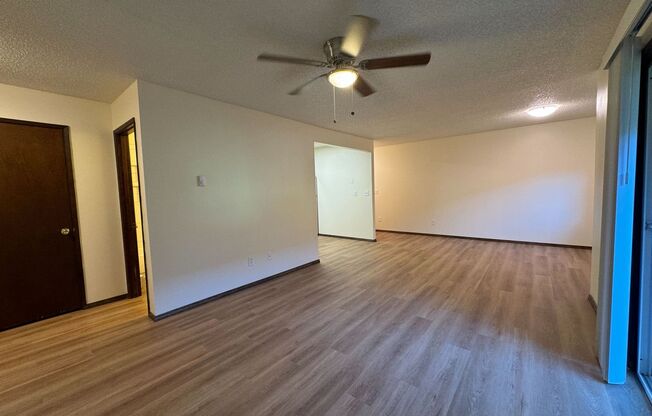 2 beds, 1 bath, 850 sqft, $1,550, Unit 2404