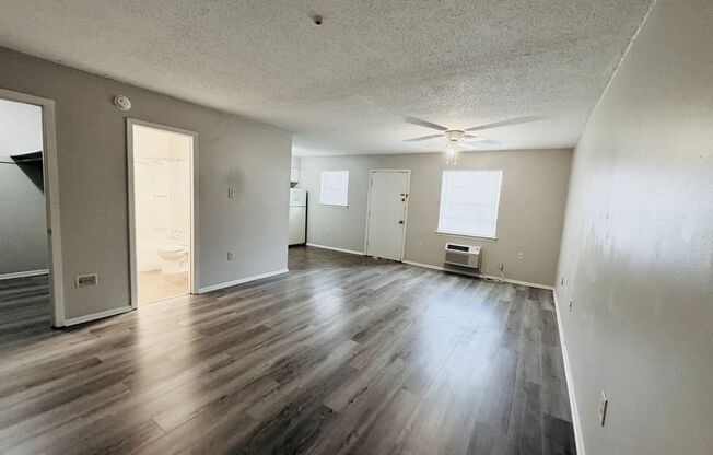 Studio, 1 bath, 494 sqft, $690, Unit 17