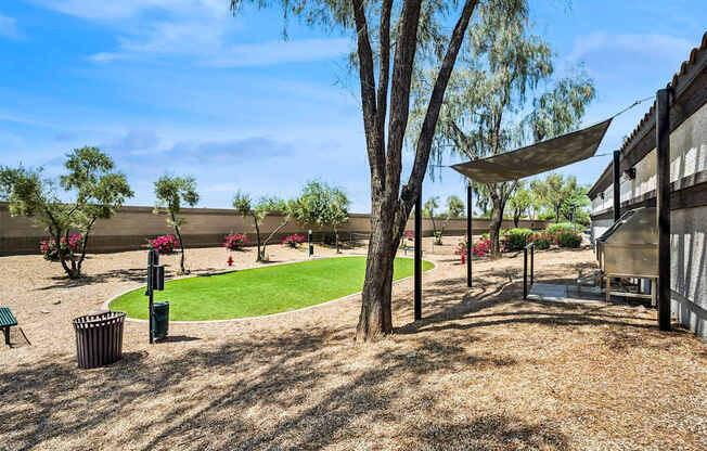 dog park at 2150