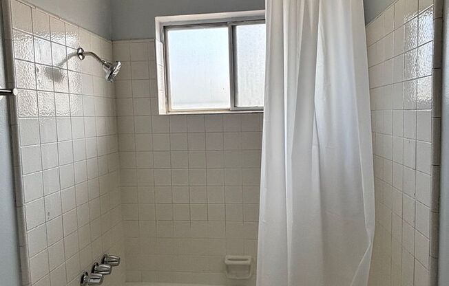 11411/15/25 Magnolia-2727/31/2803 Musgrove